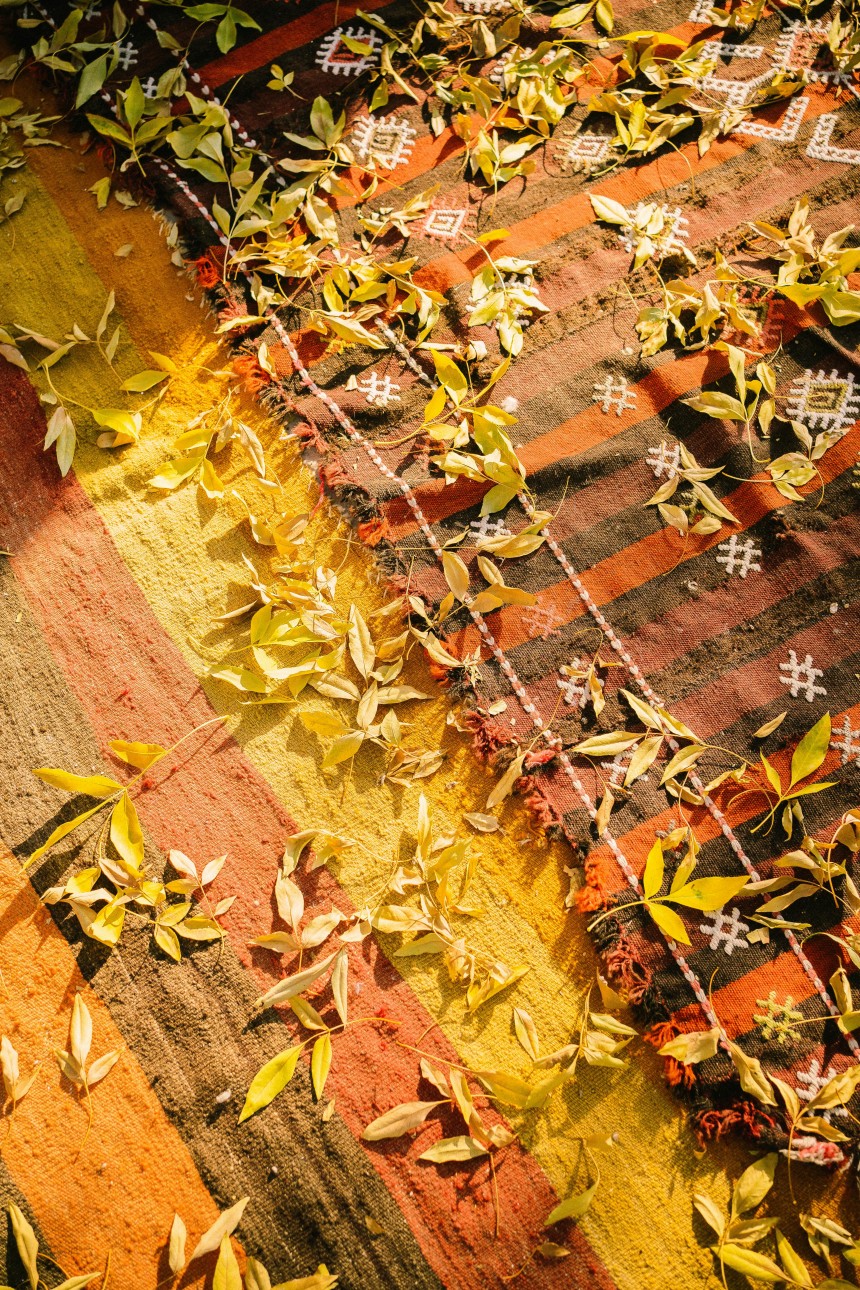 Moroccan Kilim Rugs: Embrace Durable, Textured Beauty at Home